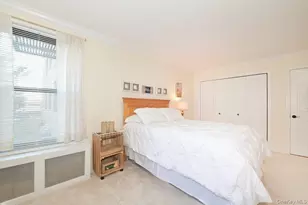 4 Birchwood Ct, Mineola, NY 11501 - Photo 11