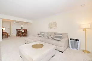 4 Birchwood Ct, Mineola, NY 11501 - Photo 3