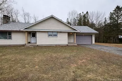 130 Bushville Swan Lake Road, Ferndale, NY 12734 - Photo 1