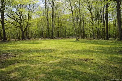 548 Dosen Road, Middletown, NY 10940 - Photo 41