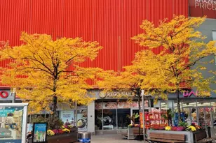 61-35 98th St, Rego Park, NY 11374 - Photo 13