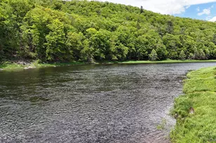 860 River Rd, Callicoon, NY 12723 - Photo 23