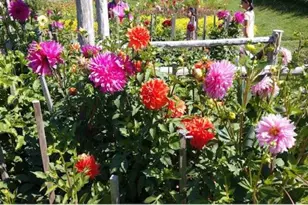 778 Pulaski Hwy, Goshen, NY 10924 - Photo 17