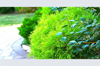 15 Walters Avenue, Syosset, NY 11791 - Photo 21