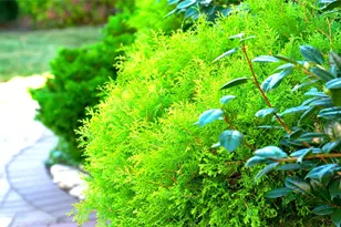 15 Walters Ave, Syosset, NY 11791 - Photo 21