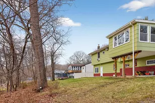 313 Chestnut Ave, New Windsor, NY 12553 - Photo 43