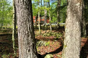 30 Narrow Rd, Kingston, NY 12401 - Photo 31