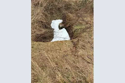 353 Henderson Road, Fremont Center, NY 12736 - Photo 11