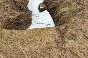 353 Henderson Rd, Fremont Center, NY 12736 - Photo 11