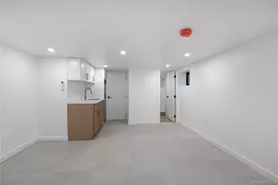 234 E 42nd St, Brooklyn, NY 11203 - Photo 23