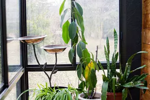 115 Tuthill St, Port Jefferson Village, NY 11777 - Photo 23