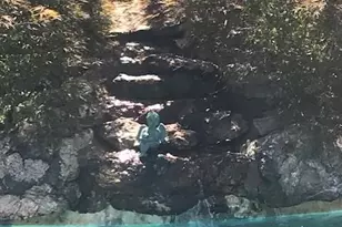 986 Cliff Ave, Yorktown Heights, NY 10598 - Photo 37