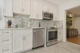 17 Meadow St, Garden City, NY 11530 - Photo 11