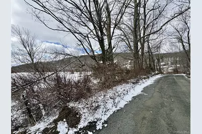 T R 28, Fremont Center, NY 12736 - Photo 43