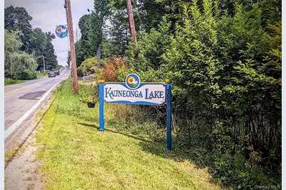 State Route 55, Kauneonga Lake, NY 12720 - Photo 9