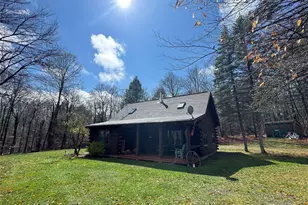 41 Maple Ln, Livingston Manor, NY 12758 - Photo 3