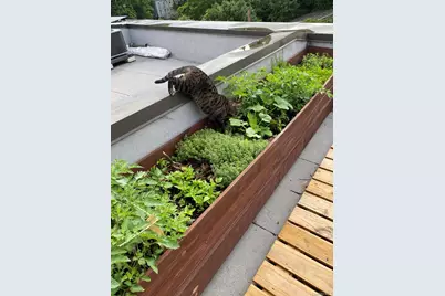 493 Warburton Avenue, Hastings on Hudson, NY 10706 - Photo 33