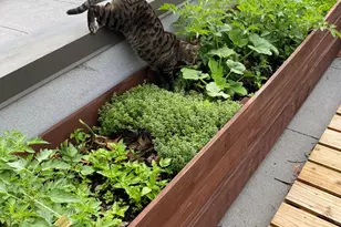 493 Warburton Ave, Hastings on Hudson, NY 10706 - Photo 33