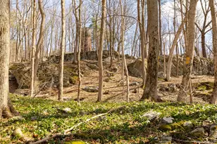 14 Van Wert Pl, Hyde Park, NY 12538 - Photo 27