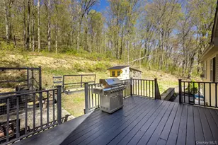 50 Horseshoe Rd, Millbrook, NY 12545 - Photo 23