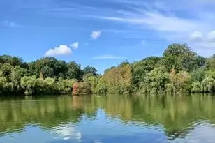 46-18 161st St, Flushing, NY 11358 - Photo 9