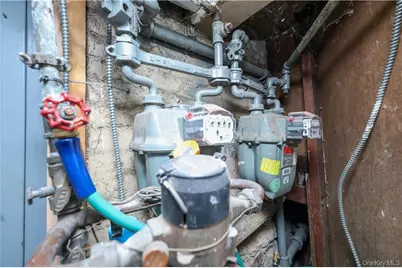 247 50th Street, Brooklyn, NY 11220 - Photo 19