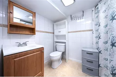 247 50th Street, Brooklyn, NY 11220 - Photo 17