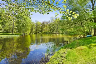 123 & 135 Mianus River Rd, Bedford, NY 10506 - Photo 29