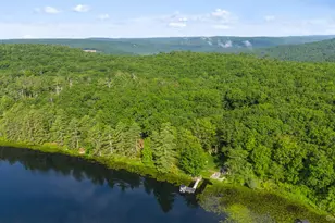 253 York Lake Estates Rd, Barryville, NY 12719 - Photo 11