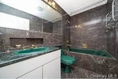 4231 Colden Street #F7B, Flushing, NY 11355 - Photo 17