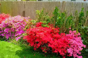 154 Cedar Rd E, Mastic Beach, NY 11951 - Photo 9