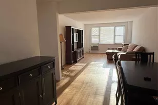 3 Birchwood Ct, Mineola, NY 11501 - Photo 5