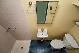 240-58 65th Ave, Little Neck, NY 11362 - Photo 21