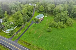 1013 Cooley Rd, Parksville, NY 12768 - Photo 3