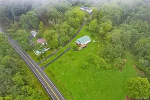 1013 Cooley Rd, Parksville, NY 12768 - Photo 43