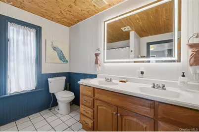 203 Lake Shore Drive, Mahopac, NY 10541 - Photo 11