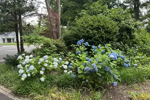 3 Townsend Ct, Setauket, NY 11733 - Photo 5