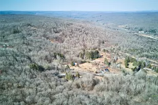 60 Mountain Terrace Rd, Parksville, NY 12768 - Photo 25