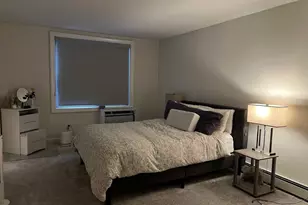 101 Jackson Ave, Mineola, NY 11501 - Photo 11