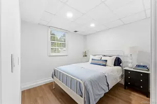 22 Delaware Ave, Jericho, NY 11753 - Photo 19