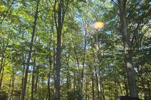 37 Hill Rd, Pine Bush, NY 12566 - Photo 43