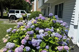 41 Cornell Ave, Red Hook, NY 12571 - Photo 35