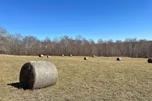 57 Boettger Rd, Callicoon, NY 12723 - Photo 13