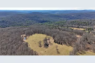 57 Boettger Road, Callicoon, NY 12723 - Photo 19