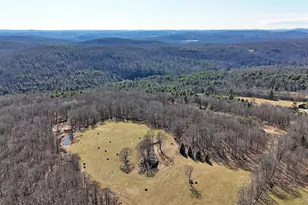 57 Boettger Rd, Callicoon, NY 12723 - Photo 19