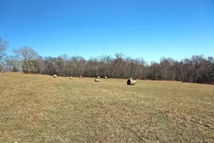 57 Boettger Rd, Callicoon, NY 12723 - Photo 17