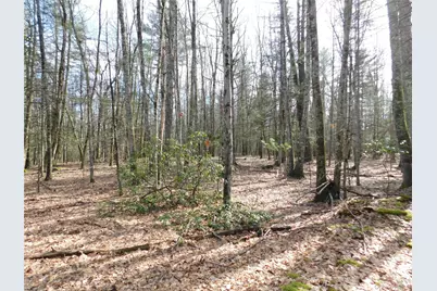 Tbd Wright Rd, Kerhonkson, NY 12446 - Photo 13