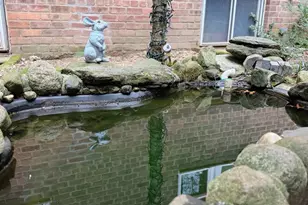 120-10 85th Ave, Kew Gardens, NY 11415 - Photo 11