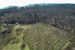 223 Plattekill Rd, Marlboro, NY 12542 - Photo 39