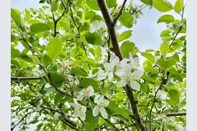 223 Plattekill Road, Marlboro, NY 12542 - Photo 31